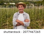 Smiling mature man in straw hat and plaid shirt folding arms while standing on own farm and looking at camera