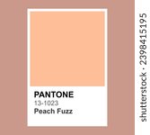 pantone 13 1023 peach fuzz....