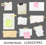notes and reminders or paper... | Shutterstock .eps vector #1250237992