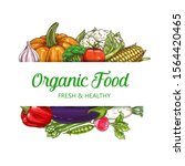 vegetables  healthy food ... | Shutterstock .eps vector #1564420465