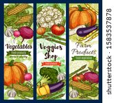 vegetables and farm products... | Shutterstock .eps vector #1583537878