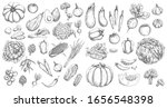 vegetables  farm food vector... | Shutterstock .eps vector #1656548398