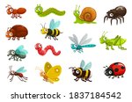 Cute Bugs And Insects Cartoon...