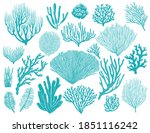 Coral reef or seaweeds vector underwater plants. Aquarium, ocean and undersea algae water life isolated on white background. Corals or sea weeds and wracks, laminaria, kelp cartoon marine icons set