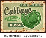 Cabbage Rusty Metal Vector...