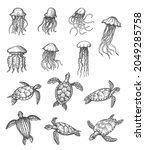 ocean jellyfish and sea turtles ... | Shutterstock .eps vector #2049285758
