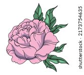 detailed flower illustration.... | Shutterstock .eps vector #2173754635