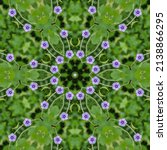Small photo of flower pattern; format; tone; system; design; schema