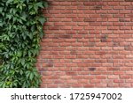 Textured brick wall on one side overgrown with a green plant, ivy, space, Wallpaper.