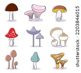 Nine Types Of Mushrooms. There...