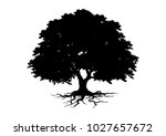 tree silhouette isolated on... | Shutterstock .eps vector #1027657672