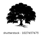 tree silhouette isolated on... | Shutterstock .eps vector #1027657675