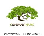 tree logo abstract design... | Shutterstock .eps vector #1115423528