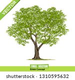  trees isolated on white... | Shutterstock .eps vector #1310595632