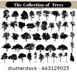 black tree silhouettes on white ... | Shutterstock .eps vector #663129025