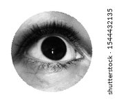 close up human eye. vector... | Shutterstock .eps vector #1544432135