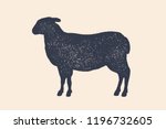 Lamb  Sheep. Vintage Logo ...