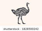 Ostrich. Butcher Guide Scheme....