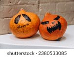 Two orange pumpkins in sinister ...