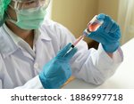 closeup hand doctor holding... | Shutterstock . vector #1886997718