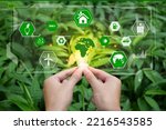 Small photo of Renewable Energy. Hand holding light bulb and have green world map with icons energy sources for renewable, sustainable development. green energy concept energy sources sustainable Ecology Elements.