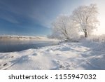 A Realistic Winter Christmas Landscape With Blue Sky, Trees Covered With Thick Frost, A Small River And A Village On The Opposite Shore.Sunny Frosty Winter Morning.  Footprints In The Snow. Belarus