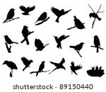 Bird Silhouettes Collection