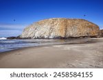 Seal rock state park sand beach ...