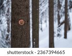 Orange trail marker with a face on a pine tree in Repovesi National Park in winter. Kouvola, Finland.