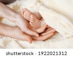 Small photo of Newborn baby legs in mother’s nd father's palm. Happy parents holding theyr baby feet close up. Maternity, family, birth concept.