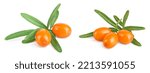 Small photo of Sea buckthorn. Fresh ripe berry with leaves isolated on white background macro