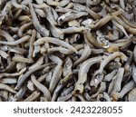 Small photo of ikan teri kering asin, dried salted anchovies fish