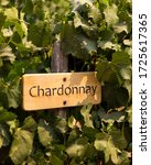 A Chardonnay Sign In A Vineyard.