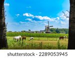 Rural Dutch view with wind mill, church tower and horses on grassy field. Located in Werkhoven, Bunik, Utrecht region, Netherlands.