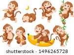 Collection Of Monkey In...