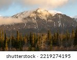 Small photo of The Alaska Highway through Canada and the United States--including mountains, moose, bison, quaint towns, kitsch, landscapes--in spring.