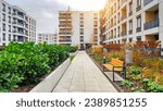 Courtyard in a residential building block of flats