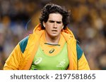Small photo of SYDNEY, AUSTRALIA - SEPTEMBER 3: Darcy Swain of Australia warms up during The Rugby Championship match between the Australia Wallabies and South Africa Springboks at Allianz Stadium