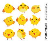 Chick Vector Collection Design