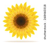 sunflower illustration isolated ... | Shutterstock . vector #268460318
