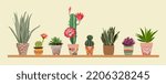 Potted Cactus Plants Set....