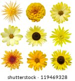 Collage Of Isolated Yellow...