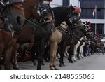 Small photo of This photo was taken from a corner of bukittinggi city, where delman is called for traditional means of transportation using horses. This transportation has existed since time immemorial, now this tra