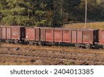 Small photo of A freight train standing on a siding at a railway switch in the forest.A railway turnout among the forests on the premises of the steelworks in Ostrowiec. Rusted freight wagons standing on the railway