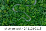 Small photo of Aerial top view road in forest with car motion blur. Winding road through the forest. Car drive on the road between green forest. Ecosystem ecology healthy environment road trip.Holiday and travel .