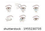 woman using eye drops bottle.... | Shutterstock .eps vector #1955230735
