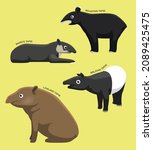 Tapir Set With Name Cartoon...
