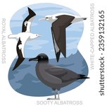 Cute Bird Royal Albatross Set Cartoon Vector