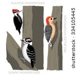 Bird Woodpecker Set Cartoon...