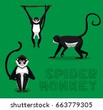 Spider Monkey Cartoon Vector...